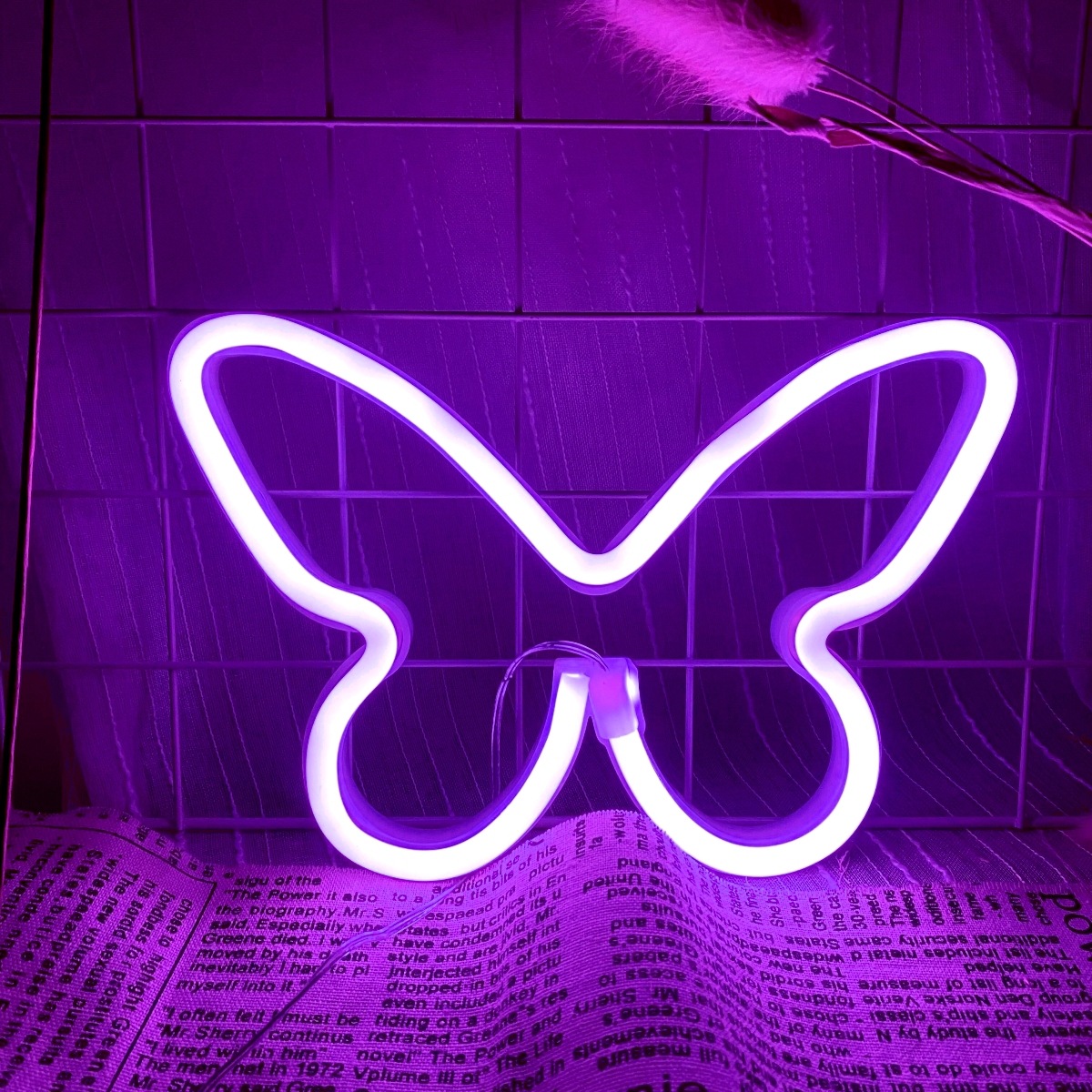 LED butterfly neon lights, USB - đánh giá và giá Wedding Power Supply