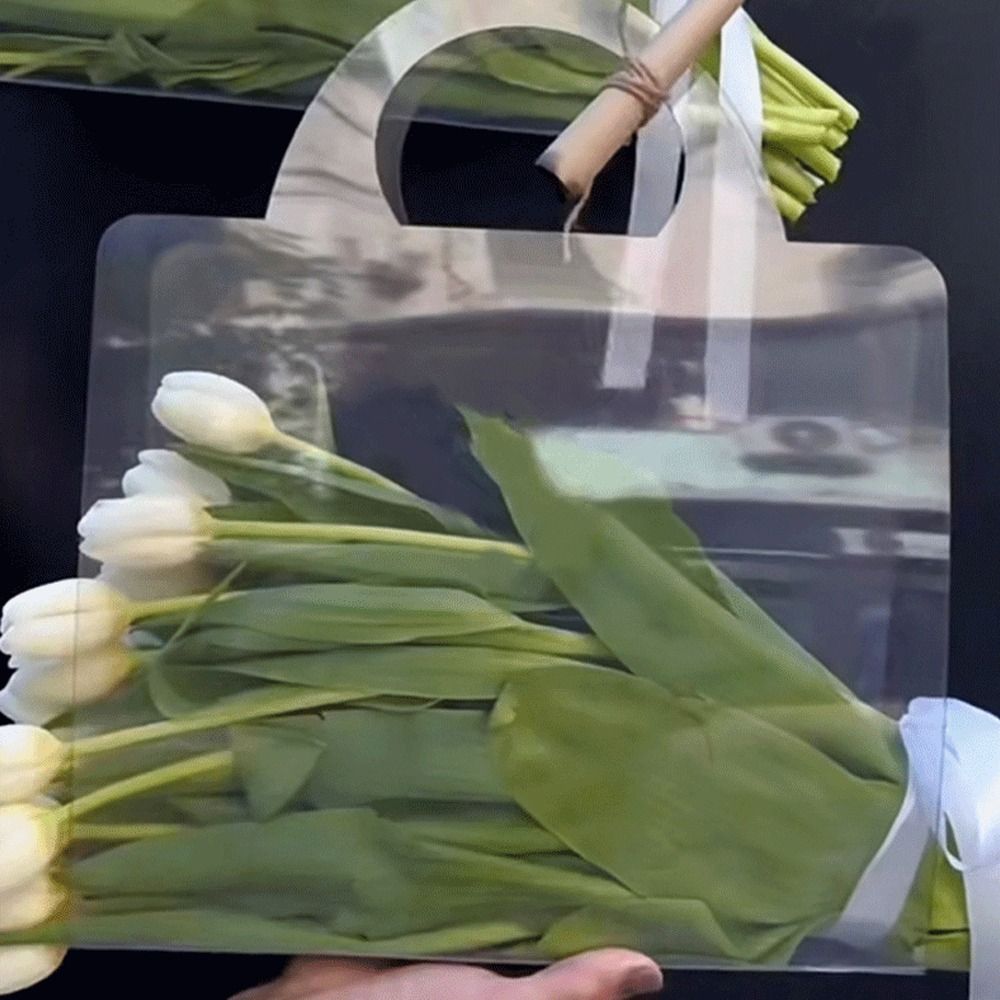 Packaging Bags PET Transparent - đánh giá và giá Wedding Packaging